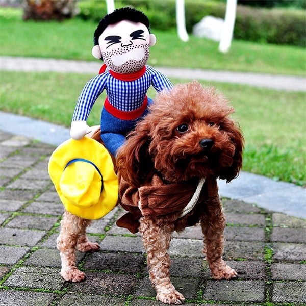 🎃 Halloween 2022 Hot Sale -The Cowboy Rider Dog Costume