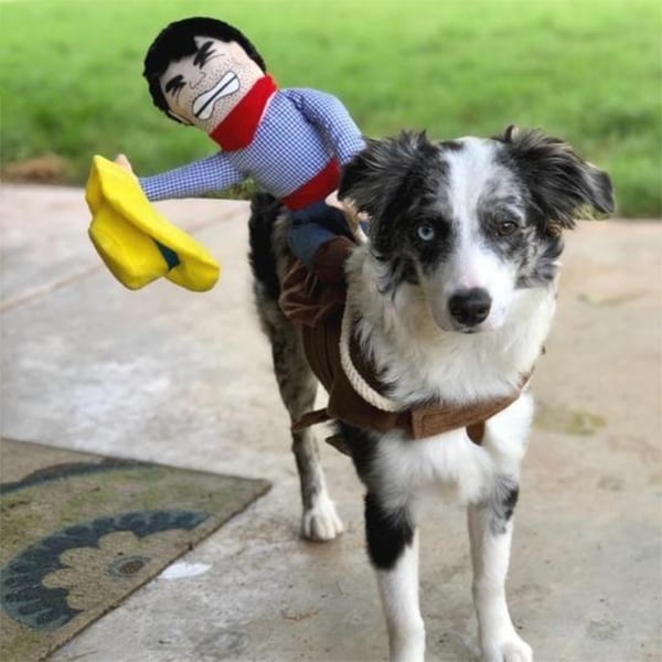 🎃 Halloween 2022 Hot Sale -The Cowboy Rider Dog Costume