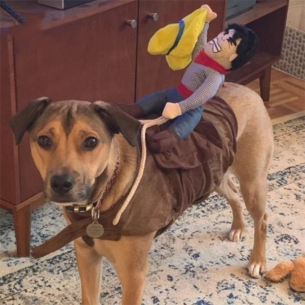 🎃 Halloween 2022 Hot Sale -The Cowboy Rider Dog Costume