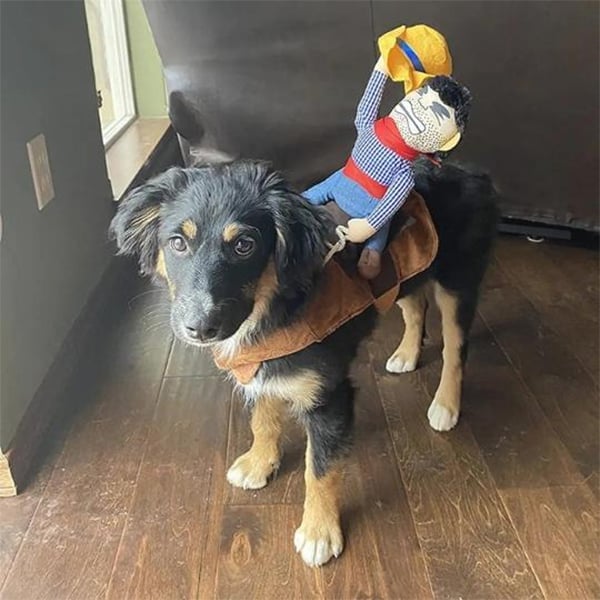 🎃 Halloween 2022 Hot Sale -The Cowboy Rider Dog Costume