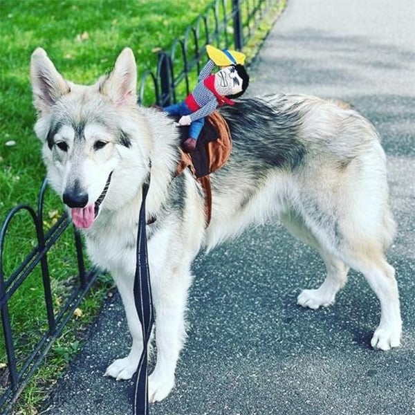 🎃 Halloween 2022 Hot Sale -The Cowboy Rider Dog Costume